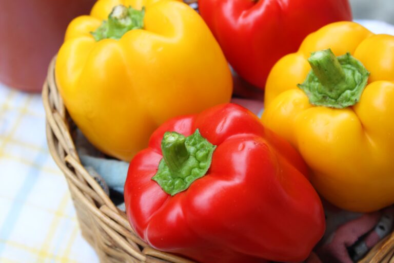 stuffed bell peppers